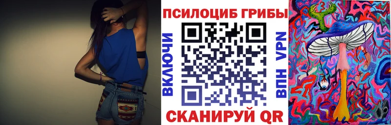 магазин продажи   Курск  Галлюциногенные грибы Psilocybine cubensis 